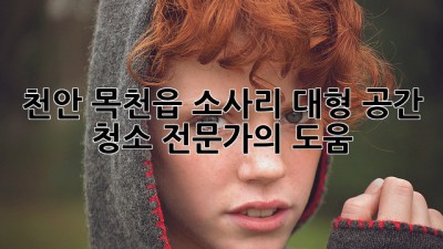 천안 목천읍 소사리 대형 공간 청소 전문가의 도움