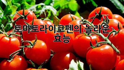 토마토라이코펜의 놀라운 효능