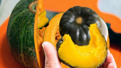 놓치면 후회! ✨ 국산 제주 보우짱 솔직 후기 & 꿀팁🍯